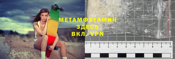 гидра Елизово