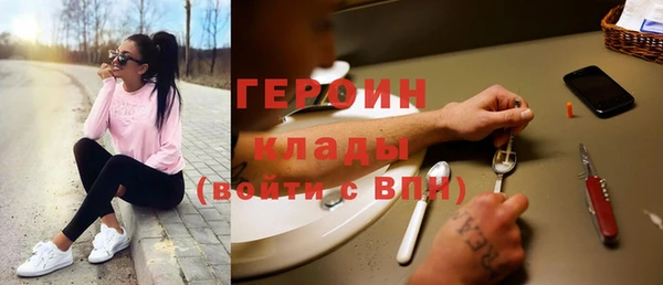 гидра Елизово