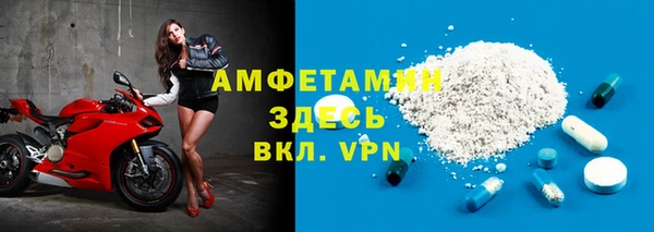 гидра Елизово