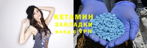 гидра Елизово