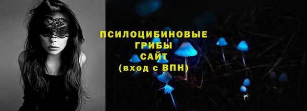 гидра Елизово