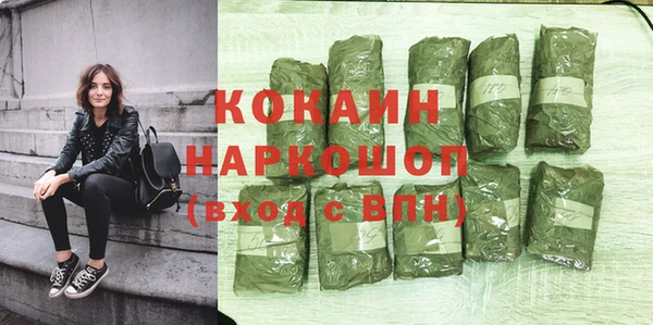 гидра Елизово