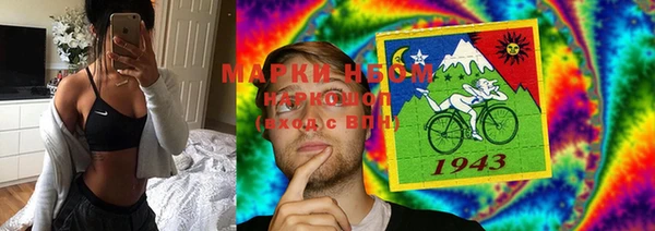гидра Елизово