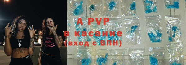 гидра Елизово