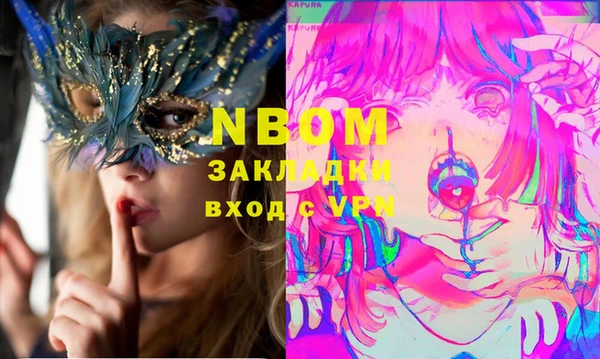 гидра Елизово