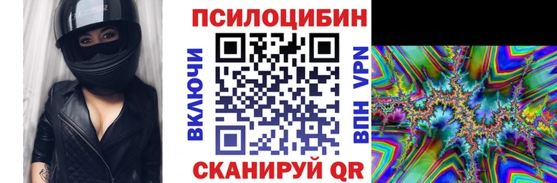 Псилоцибиновые грибы прущие грибы  Кадников 